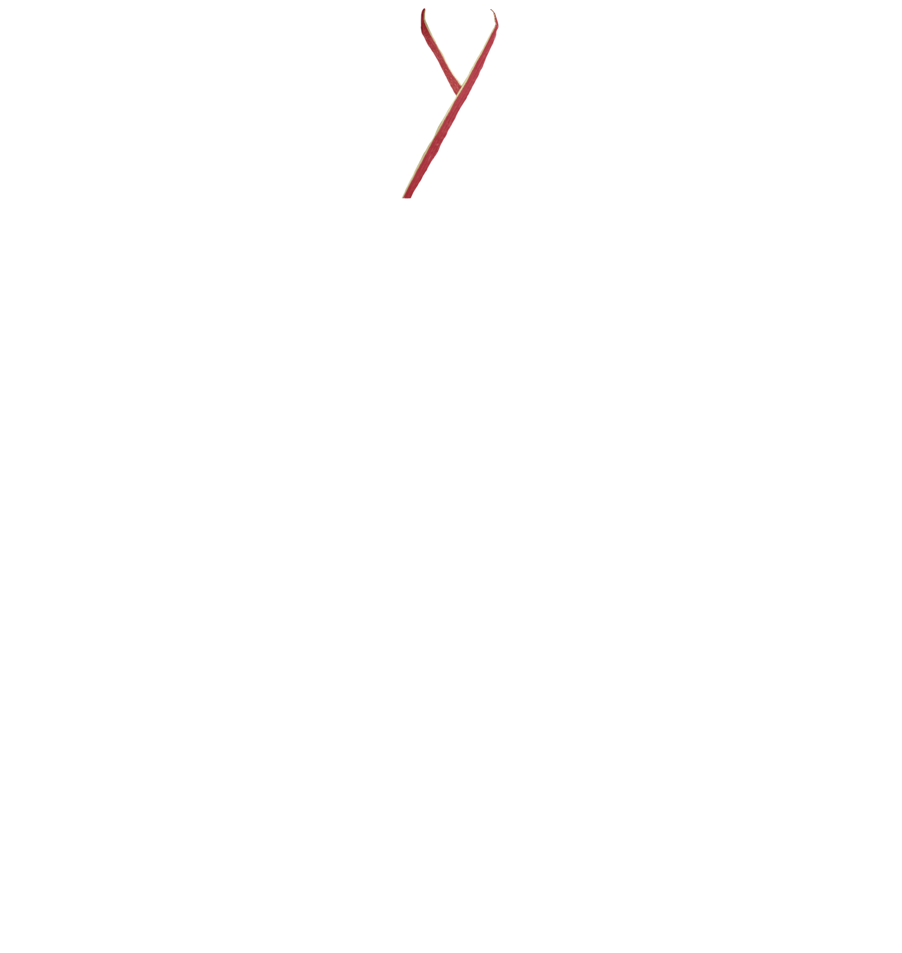 【重ね衿】K-55　NO.3