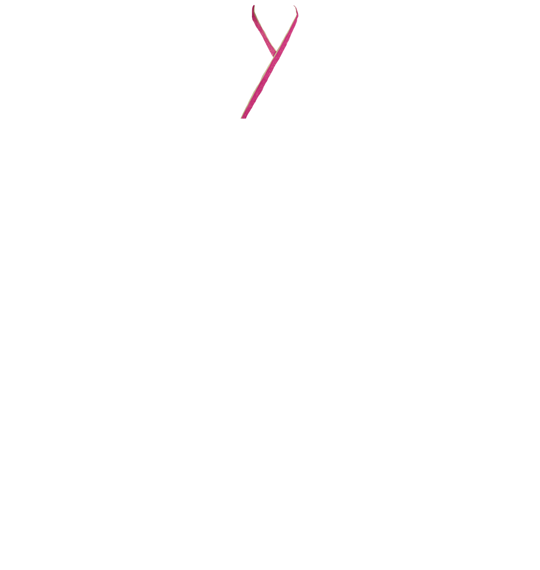 【重ね衿】K-55　NO.23