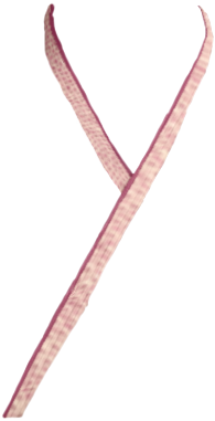 【重ね衿】絞り　NO.8_1030