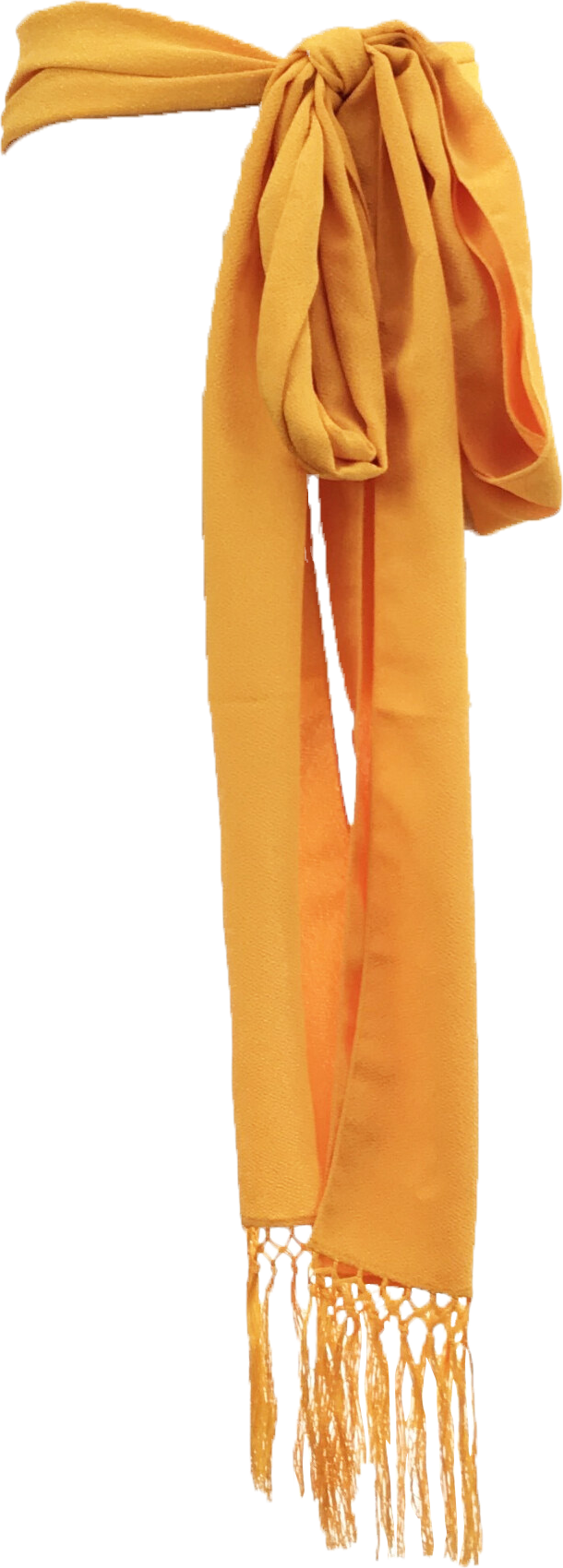 【しごき】　黄色_1059